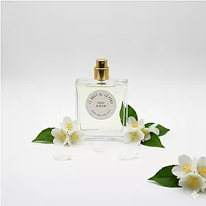 Le musc & la Peau - Sweet Jasmin